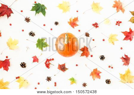 Autumn composition. Pumpkin anise star pine cones and autumn leaves. Thanksgiving day. Flat lay top view