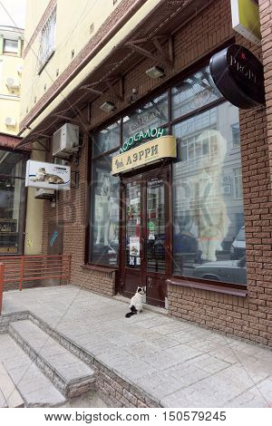 Nizhny Novgorod Russia. - June 20.2016. Domestic cat in the collar came to the pet store to Larry for a meal. He came and sat in front of the door and meows