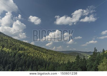 Certova Stena Stone Wall In Forest Near Vyssi Brod Village