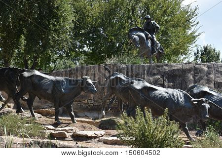 DALLAS, TX - SEP 17: The Cattle Drive Sculpture at Pioneer Plaza in Dallas, Texas, as seen on Sep 17, 2016. The 49 bronze steers and 3 trail riders sculptures were created by artist Robert Summers of Glen Rose, Texas.
