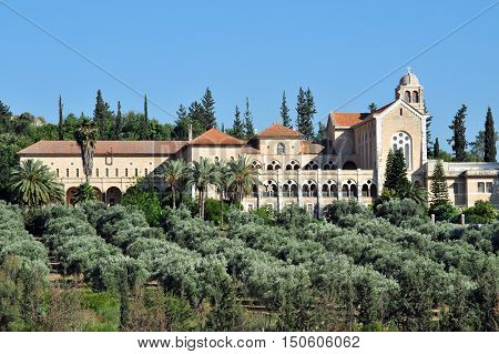 Travel Photos Of Israel - Latrun
