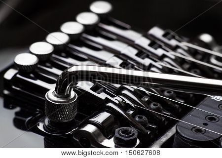 Electric guitar parts tremolo and tuners close-up