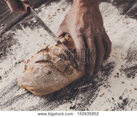 Baking and cooking concept background. Hands of baker closeup cutting bread loaf with knife on rustic wooden table sprinkled with flour. Stained dirty hands of cook.