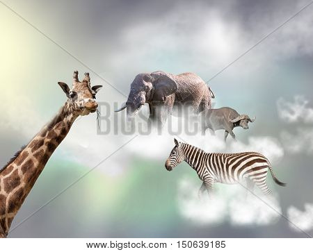 The giraffe, elephant zebra above white clouds in front of gray sky