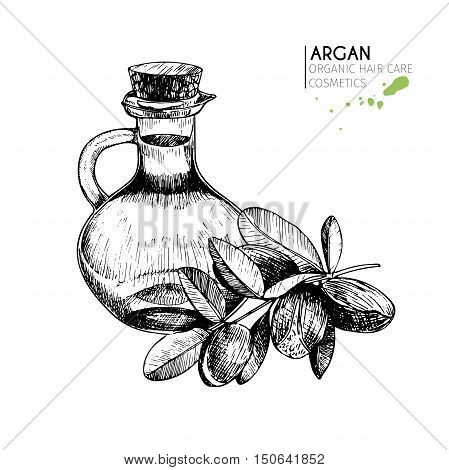 Argan nuts bottle of oil. Use for cosmetic package shop store products spa salon wellnes program procedure skin hair care
