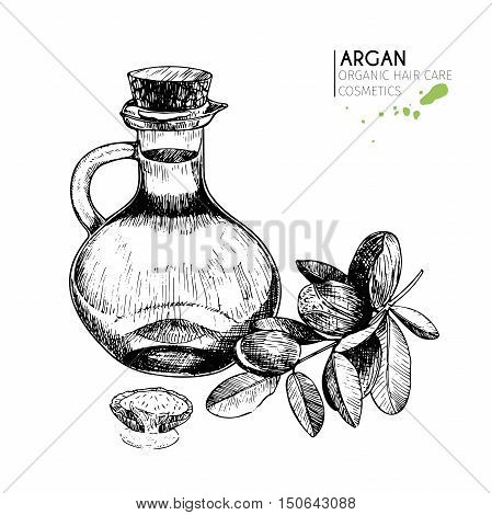 Vector set hair care ingredients. Organic hand drawn elements. Argan nuts branch bottle oil. Use for cosmetic package shop store products spa salon wellnes program procedure skin hair care