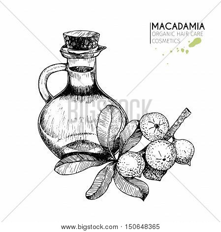 Vector set of hair care ingredients. Organic hand drawn elements. Macadamia branch bottle oil. Use for cosmetic package shop store products spa salon wellnes program procedure skin hair care