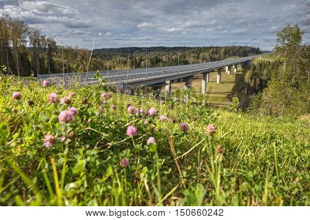 Steel bridge overpass on concrete piers a highway crosses the Russian forest sunny summer day.