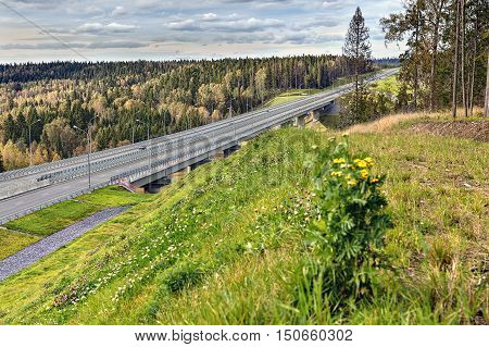 Steel girder bridge viaduct on freeway that crosses woods sunny daytime.