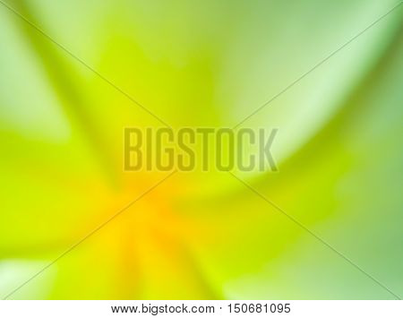 Blurred abstract photo of colorful colour of flower in green and yellow tone.