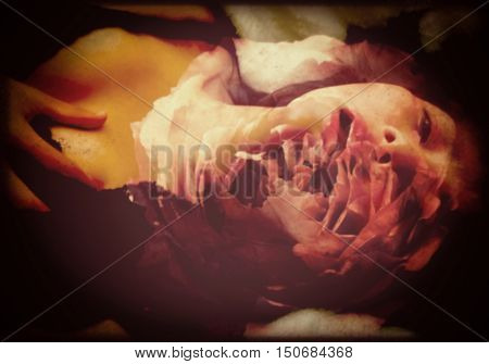 de-focused Asian sexy woman in black lace lingerie lying be in anguish emotion from broken-hearted double exposure with pink rose black vignette grunge style