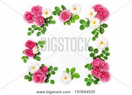 White and pink rose flowers with green leaves.Floral olidays background