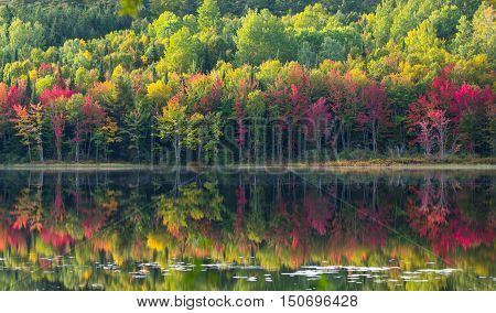Vibrant October colors on autumn deciduous trees reflected on calm water of Corry Lake.