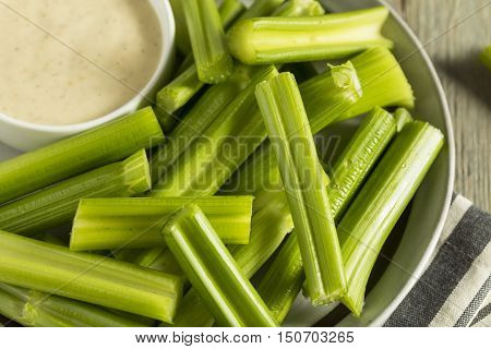 Raw Organic Green Celery Stalks
