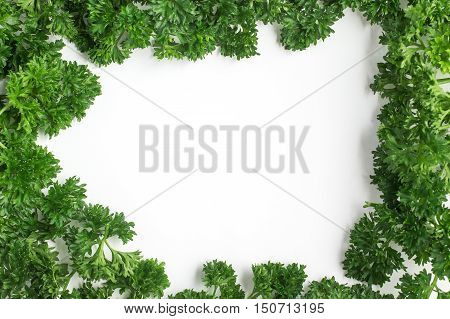 Fresh Parsley Frame isolated in white background