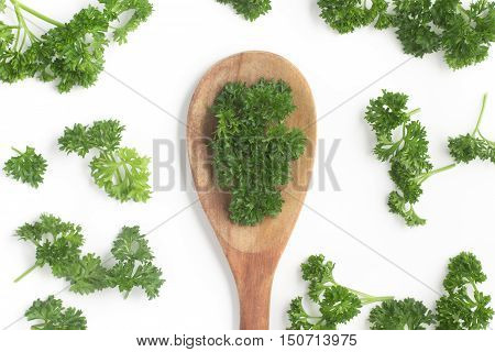 Parsley into a spoon isolated in white background