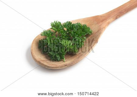 Parsley into a spoon isolated in white background