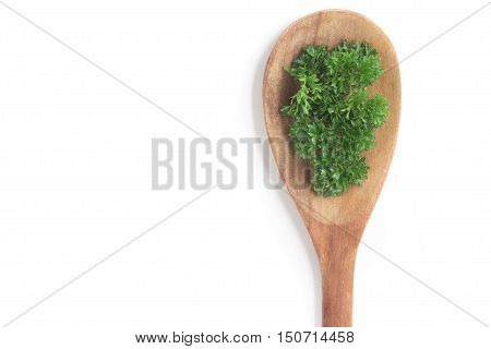 Parsley into a spoon isolated in white background