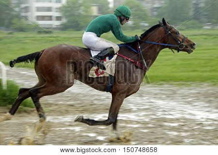 Horse race for the traditional prize Otkritia in Nalchik,Russia.