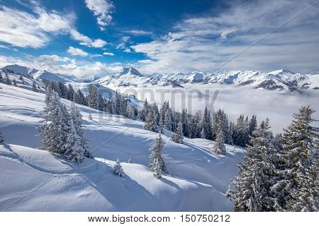Trees Covered By Fresh Snow In Alpine Mountains - Austria From Kitzbuehel Ski Resort - One Of The Be
