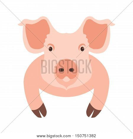 pig head face vector illustration style Flat