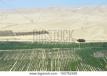A desert farm in the Negev Israel.
