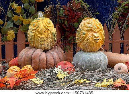 Moscow Russia - October 03 2016: Owl pumpkins at the festival 