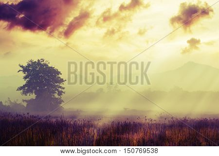 Vintage landscape nature background Purple meadow with green grass tree and mountain in wonderland