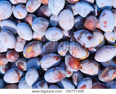 Background with ripe blue and violet plums