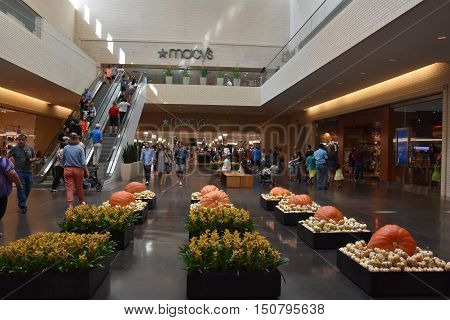 DALLAS, TX - SEP 17: Halloween decor at NorthPark Center in Dallas, Texas, as seen on Sep 17, 2016. The center has over 235 stores and is the first shopping center featured on Vogue Magazine.