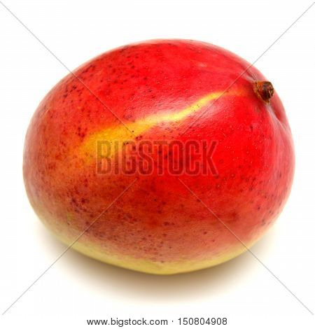 Mango isolated on white background. Red. Fruit.