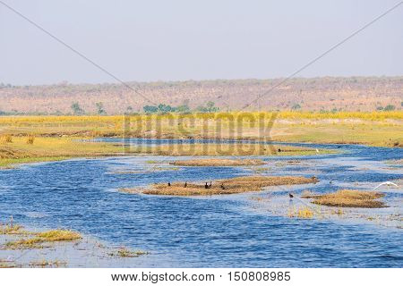 Chobe River Landscape, View From Caprivi Strip On Namibia Botswana Border, Africa. Chobe National Pa