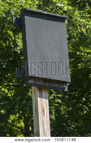 Wooden black painted bat shelter on wooden pole