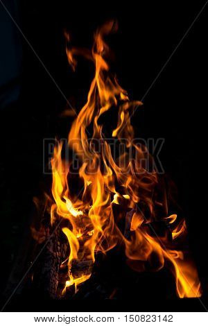 Fire flames bonfire at night on black background