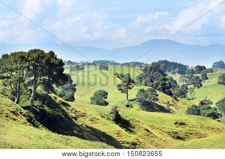The landscape of the Hobbiton Movie Set and Farm, Matamata New Zealand.