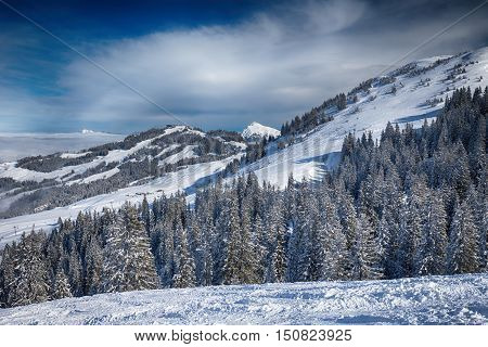 Trees Covered By Fresh Snow In Austria Alps From Kitzbuehel Ski Resort - One Of The Best Ski Resort