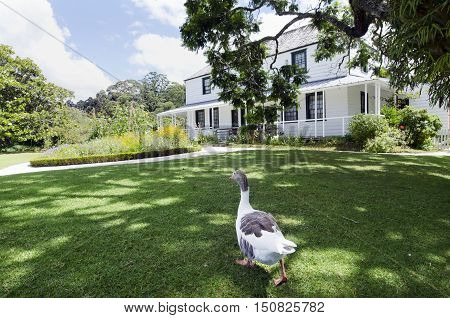 Pacific-nz-new-zealand-old-house-architecture-urbanism-northland-kerikeri-mission-station