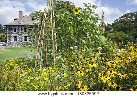 Pacific-nz-new-zealand-old-house-architecture-urbanism-northland-kerikeri-stone-store-