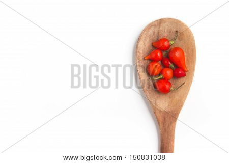 Biquinho Pepper into a spoon. Capsicum Chinense isolated in white background