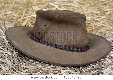 Australian hat on hay in a barn.