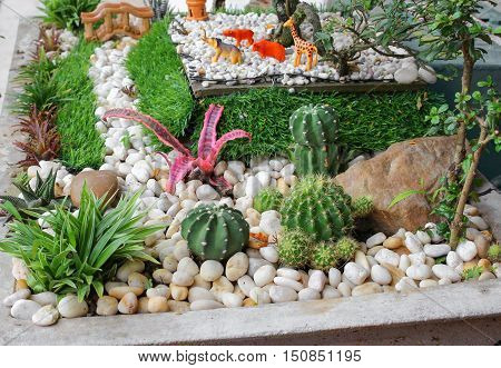 Cactus in stone park beautifulSelect focus with shallow depth of field