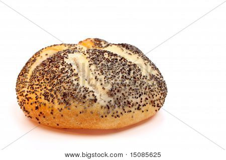 Pane