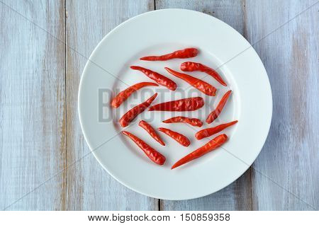 Falt lay of Bird's eye chili on a white plate. Food background and texture with copy space
