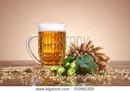 A glass of beer with a fresh, foamy beer in a glass mug, ears of wheat, ripe fruit hops, brewing ingredients