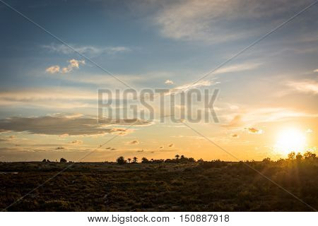 The sun goes down on a marsh with a cloudy sky, creating some spectacular colours