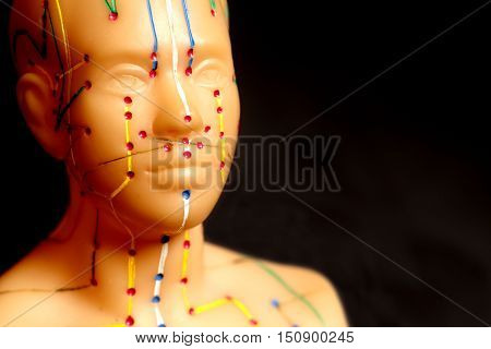 Medical acupuncture model of human head on black background