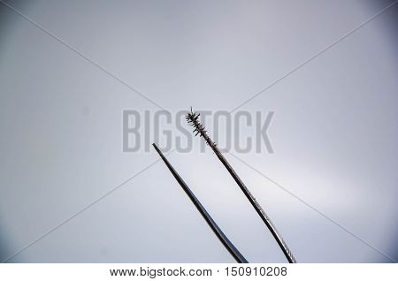 Iron powder on the clamp. Iron powder magnetic.