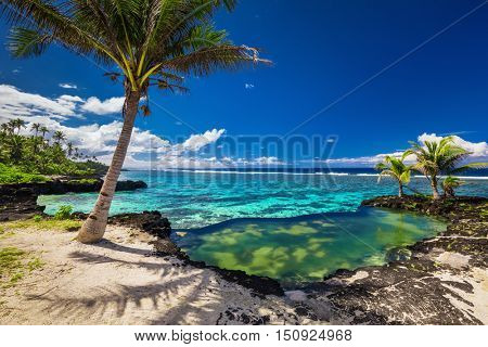 Natural infinity rock pool with palm trees over tropical ocean lagoon