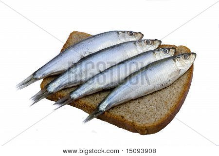 Sandwich mit Fisch