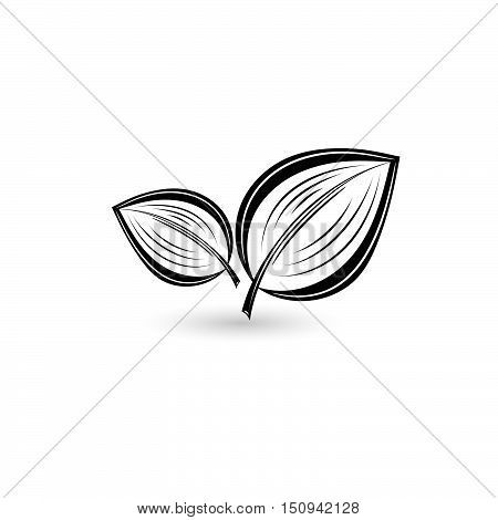 Monochrome isolated black leaf. Element for design. Vector illustration.